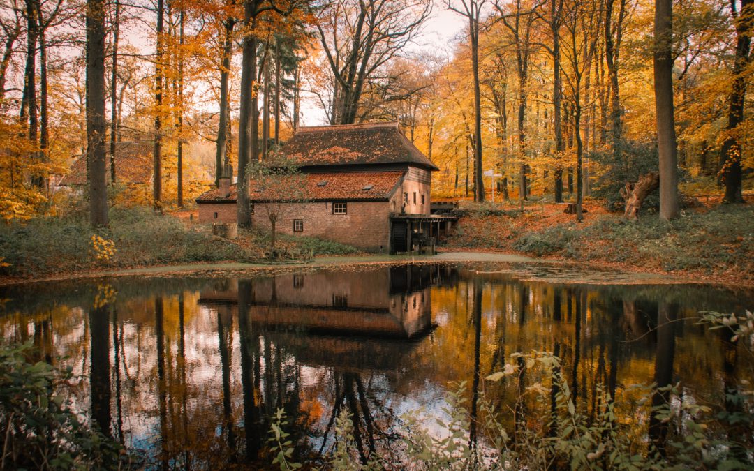 Geniet Van De Nederlandse Natuur In Deze Natuurgebieden Kaart Assen